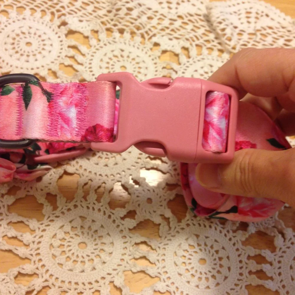 Large Dog Collar, new out of packaging